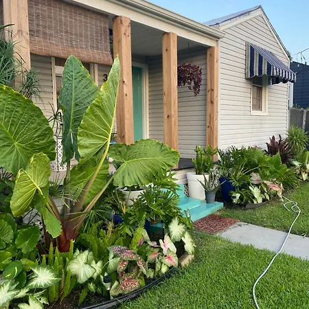 2 Bed 1 Bath Quiet Nola Bungalow Near Ochsner